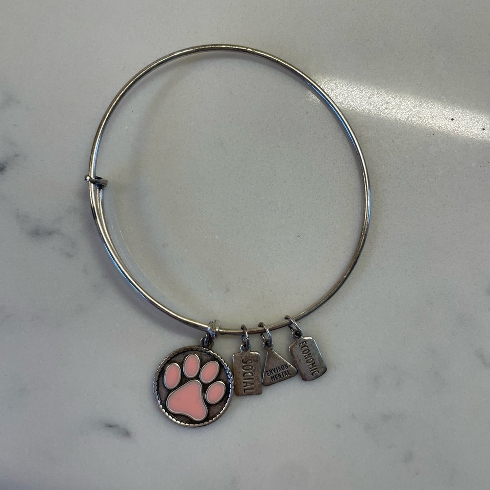 Alex + Ani Bracelet